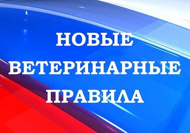 Важная информация для реализаторов растительной продукции непромышленного изготовления